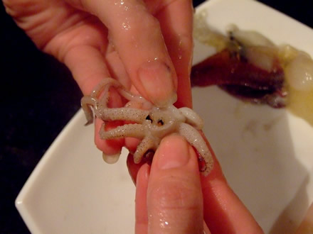 Scoatem cartilajul dintre tentacule