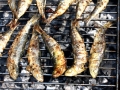 Sardine la gratar