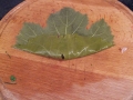 Ridicam capetele dinspre codita