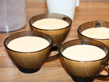 Panna cotta in cestile de cafea