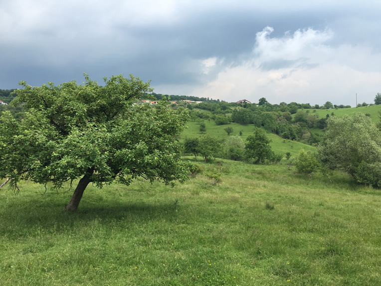 Picnic in Cindrel