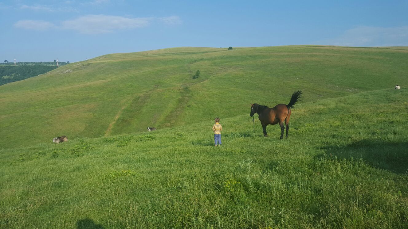 A doua zi toata lumea era in elementul lui