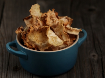 Zell&eacute;rchips