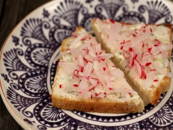 Tostada con mantequilla y rabanitos rojos