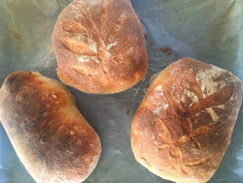 Panecillos de masa madre