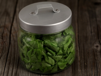 Gr&uuml;ner Salat auf Siebenb&uuml;rger Art