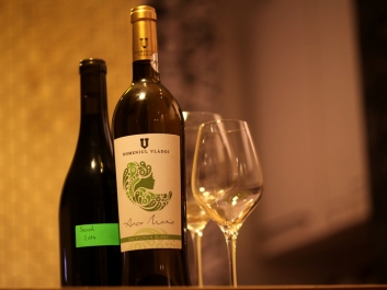 Sauvignon Blanc und Syrah vom Weingut Vladoi