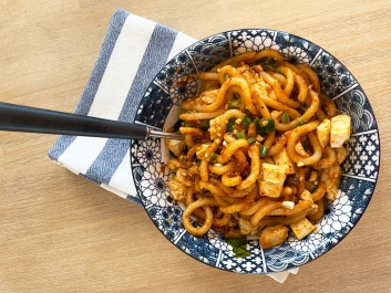 Udon Noodles with Tofu